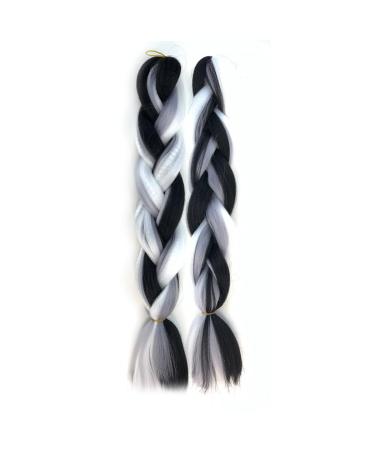 Traziewell Hair Extensions for Braiding Hair Extension Gray Braid Ombre Hair Extensions Hair for Braiding Hair Heat Resistant Synthetic Hair Extension 100g Black to Grey Braids 1605 FH001605 L