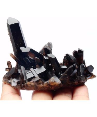150g Beautiful Natural Clear Black Quartz Crystal Cluster Specimen Crystal Cluster - Buy Online on GoSupps.com
