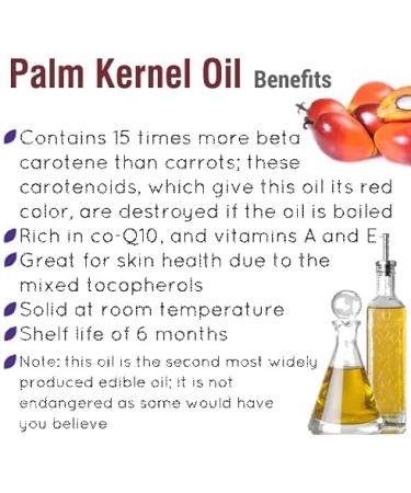 Crysalis Palm Kernel (Elaeis Guineensis) Oil |100% Pure & Natural Undiluted Carrier Oil Organic Standard| Perfect for Skin Care & Hair Care |Aromatherapy Oil| 30ml with Dropper Palm 30 ml (Pack of 1) - Buy Online on GoSupps.com