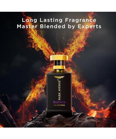 100Ml Long Lasting Perfume Spray For Men Premium Luxury Fragrance Scent Aromatic Blend Of Amber & Musk Suitable For Every Occasion - Buy Online on GoSupps.com