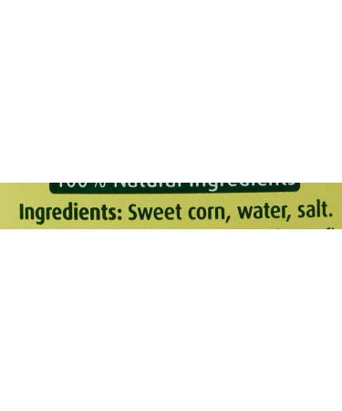 Green Giant Original Naturally Sweet Sweetcorn Niblets 3x340g - Buy Online on GoSupps.com