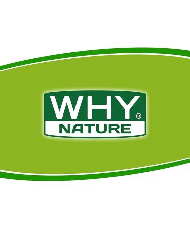  WHY NATURE WHY NATURE WAFER ZERO - Wafer waffle with protein topping Cocoa and hazelnut flavour - Gluten free protein snack - Box of 24 pieces - 35 g - Buy Online on GoSupps.com