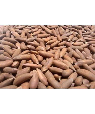 Pine Nuts with Shell 500gms Chilgoza Dry Fruit Chilgoza Pine Nuts