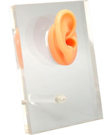 Silicone Right Ear Model with Fine Details - Ideal for ENT Hospitals - Buy Online on GoSupps.com