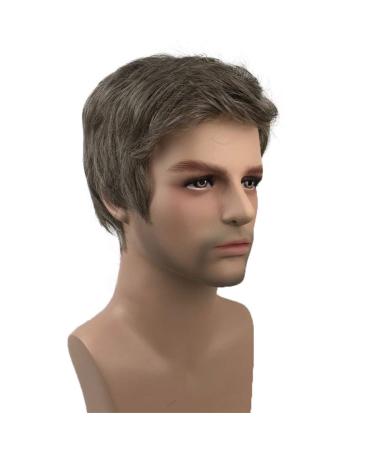 Aimole Men's Short Straight Brown-Silver Synthetic Full Wig - Buy Online on GoSupps.com