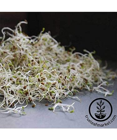 Certified Organic Alfalfa Sprouting Seeds - 8 oz Pouch - Handy Pantry Brand - High Germination Rate for Sprouts, Gardening, Hydroponics, and Food Storage - Buy Online on GoSupps.com