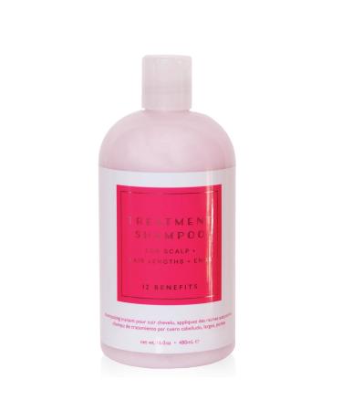 12 Benefits Treatment Shampoo Hydrating Scalp Treatment Gentle Effective Cleanse Sulfate-Free Shampoo for Dry Damaged and Color-Treated Hair 16 Fl Oz (480 ML) 16.9 Fl Oz (Pack of 1)