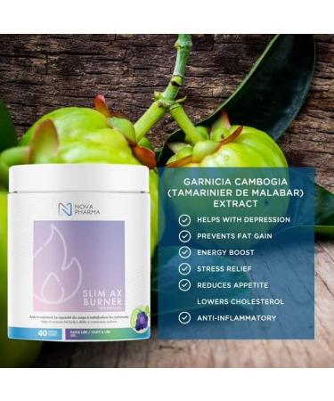 Nova Pharma Pre Workout Powder - Garcinia Cambogia - L Carnitine Supplement - Chromium Supplement - 40 Servings (Grape and Lime) - Buy Online on GoSupps.com