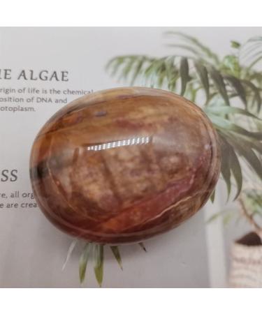 Specimen Natural Wood Palm Stone Crystal MeditationEnergy Home Decoration Collection As GiftStone Full of Texture