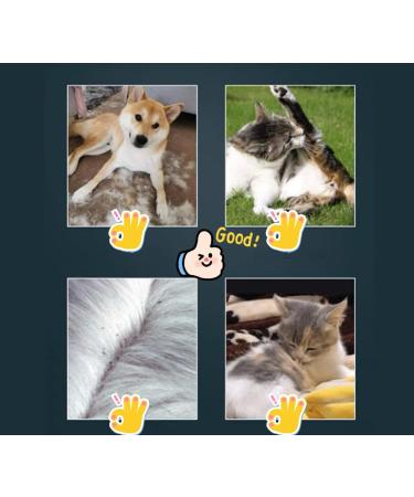 LIANRISES Dandruff Lice & Flea Comb for Cats & Dogs - Ultimate Nit Comb for Healthy Pet Coat - Buy Online on GoSupps.com