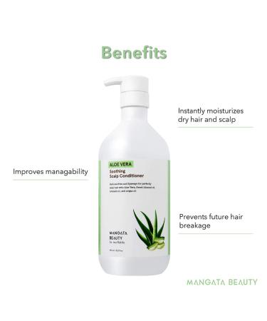 MANGATA BEAUTY Aloe Vera Soothing Scalp Conditioner - Relieves Itchiness, Redness, and Frizz | Natural Moisturizing Formula with Aloe Vera, Lavender, and Essential Oils - Buy Online on GoSupps.com