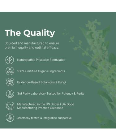 Setas Seeker Organic Motherwort Supplement | 60-Day Supply| Gotu Kola & Holy Basil for Emotional Balance Mindfulness and Personal Reflection | Emotional Clarity and Grounding | 60 Vegan Capsules - Buy Online on GoSupps.com