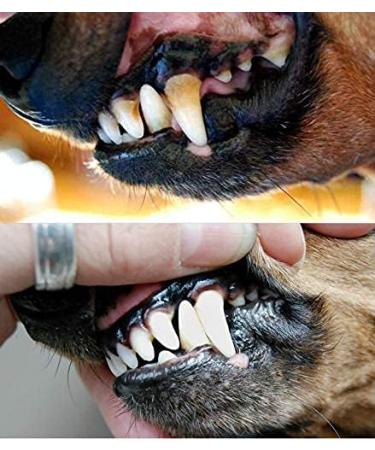 PLAQUE OUT 450G: Organic Tartar & Plaque Remover for Dogs & Cats - Bad Breath & Gum Care - Buy Online on GoSupps.com