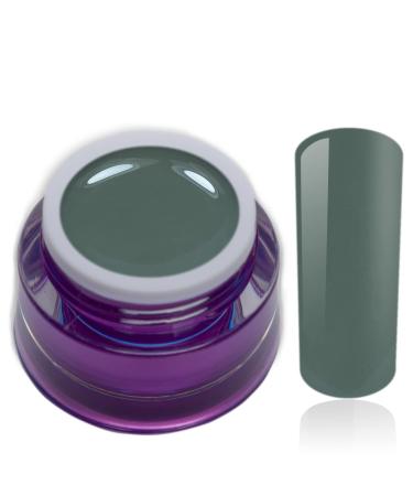 Color Gel Green Avocado UV LED Nail Gel Studio Quality Color Gel RM Beautynails 1 Pack (1x 5ml)