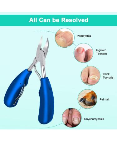 URAQT Toenail Clippers - Precision Nail Cutter for Thick Nails - Stainless Steel Heavy Duty Clippers for Ingrown Thick Toenails - Blue - Buy Online on GoSupps.com