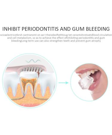 Electric Toothbrush USB Rechargeable - Waterproof Tooth Cleaning Brush for Adults - Black - Buy Online on GoSupps.com