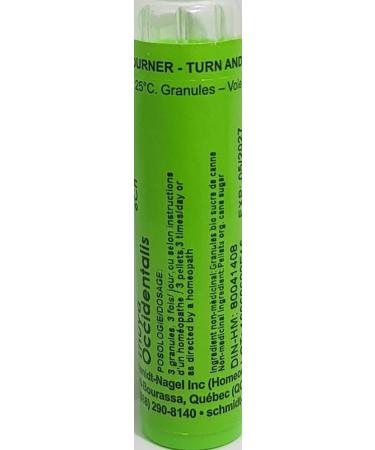 Thuya (Thuja) Occidentalis 6CH Homeopathy Medicine Schmidt-Nagel Canada (Homeodel) 90 pellets/granules - Buy Online on GoSupps.com