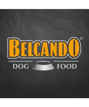 Belcando Finest Selection Lamb with Potatoes & Cranberries | Double Pack | 2 x 12 x 125 g | Wet Food for Sensitive or Picky Dogs | with Cold-Pressed Safflower Oil - Buy Online on GoSupps.com