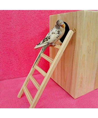 BlueMoo Wooden Pet Ladder Cage Toys for Parrot Bird Budgie Rodent Hamster Mouse Gerbil - Buy Online on GoSupps.com
