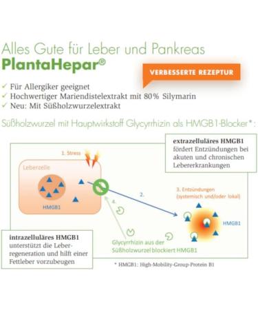 Plantavet Plantahepar 800mg | 240 Tablets | Supplement for Small Animals | Supports Pancreatic & Liver Metabolism with Aiz - Buy Online on GoSupps.com