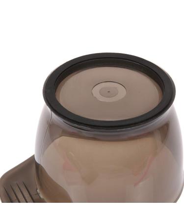 5 Party Hair Ideas | Transform Your Look for Any Celebration - Shop Now! - Buy Online on GoSupps.com