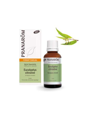 Eucalipto Azul Hoja Bio 30 ml