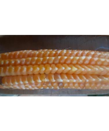 GANDIN BARBED CORN - Buy Online on GoSupps.com