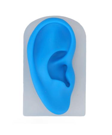 Silicone Ear Model Ear Model Simulated Display Ear Model Teaching Ear Model Teaching Transparent and Blue Flexible Ear Mold for Piercing Practice
