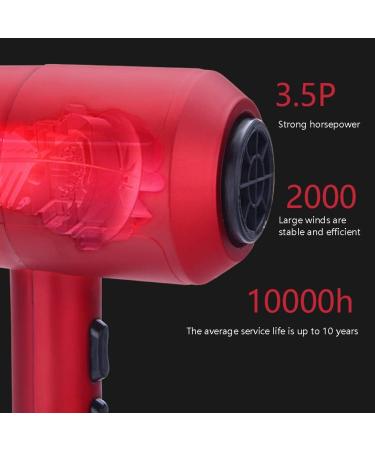 Hair Dryer Powerful Salon 2000W Professional Hairdryer Negative Ionic Technology AC Motor Blow Dryer with 3 Heat 2 Speed Settings Fast Drying for Men and Women Home and Salon Small Gift - Buy Online on GoSupps.com