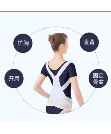 MDLIAN Shoulder & Back Correction Belt | Anti-Hunchback Braces | Large Size D | International Shipping - Buy Online on GoSupps.com