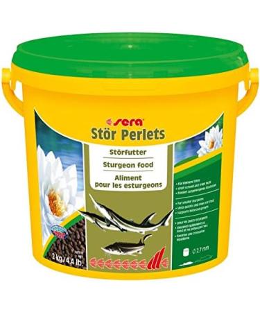 Sera Sturgeon Pellets Nature 3.8 L Premium Natural Staple Food for Small Sturgeons (2 kg) - Buy Online for International Shipping - Buy Online on GoSupps.com