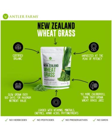 Antler Farms - 100% Pure Organic New Zealand Wheatgrass Powder 40 Servings 200g - Raw Vegan Gluten Free Nutrient Rich High Chlorophyll Wheat Grass Detox Essential Amino Acids Minerals - Buy Online on GoSupps.com