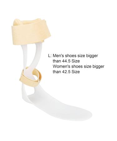 Buy ANGGREK Ankle Foot Orthosis Support - Ultra Thin Drop Foot Splint & Stabilizer for L Right Foot - Lightweight & Tailorable  - Buy Online on GoSupps.com