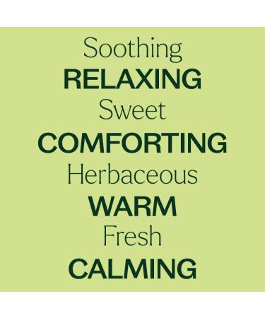 Plant Therapy Marjoram Sweet Organic Essential Oil 10 mL (1/3 oz) 100% Pure Undiluted Therapeutic Grade Marjoram 0.33 Fl Oz (Pack of 1) - Buy Online on GoSupps.com