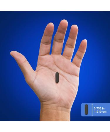 Piping Rock Bladder Control Pills for Women and Men | 90 Capsules | Maximum Strength Formula | Pumpkin Seed Extract | Non-GMO Gluten Free Supplement - Buy Online on GoSupps.com