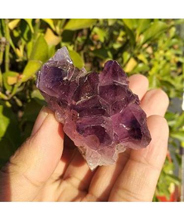 Crystal Rough Uruguay Natural Amethyst Geode Crystal Quartz Amethyst Cluster Specimen - Buy Online on GoSupps.com