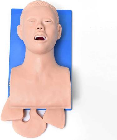 Buy Adult Intubation Teaching Model - Electronic Airway Management Trainer for Nursing | International Shipping Available - Buy Online on GoSupps.com