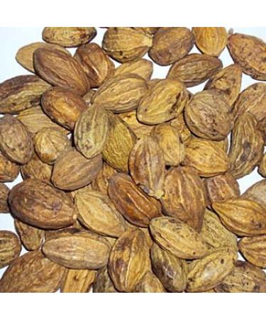 HARDE Fruit HARITAKI Whole Terminalia Chebula Whole Ayurveda (500 gm)