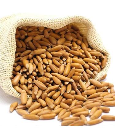 Diwali Special Dry Fruits Dry Nuts|Pine Nuts with Shell 1kG| Chilgoza - Buy Online on GoSupps.com