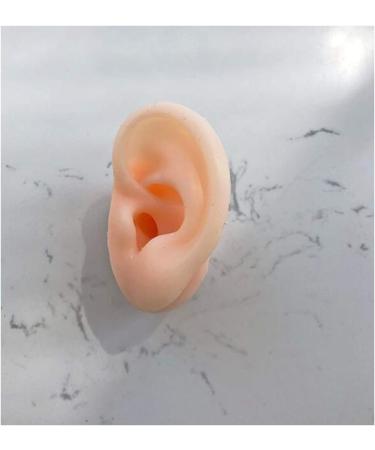 Soft Silicone Ear Model - Ear Acupoint Model - Silicone Ear Model -Artificial Simulation Human Ear - for Ear Picking Exercises Teaching Students Apair - Buy Online on GoSupps.com