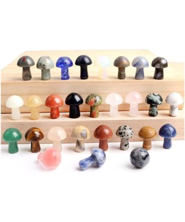 Crystal Rough Crystal Ornaments 1PC Mini Crystal Mushroom Natural Stones Carved Crafts Decoration Quartz Trinket Gift Ornament Aquarium Home Decor Gift (Color : Tiger Eye Size : 1pc) 1pc Tiger Eye - Buy Online on GoSupps.com