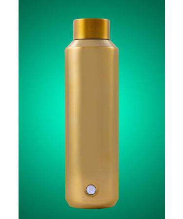 Starbucks 2019 Holiday Season Gold Water Bottle (20 OZ)