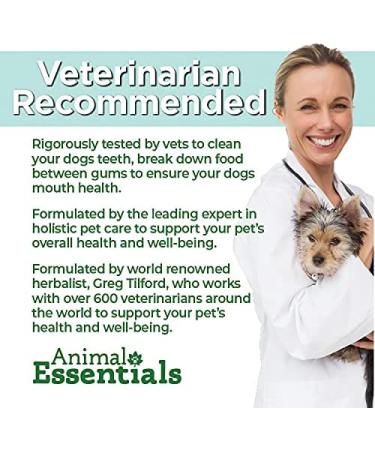 Animal Essentials SeaDent for Dogs - 2.5 oz Natural Dental Care - Buy Online on GoSupps.com