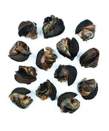 Roland Escargot Snails, Very Large, 7.75 Ounce (Pack of 12) Very Large Snails 7.75 Ounce (Pack of 12) - Buy Online on GoSupps.com