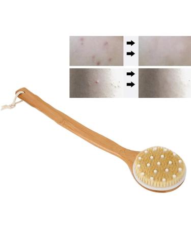 Deep Cleaning Long Handle Shower Brush for Exfoliating Skin - Body Scrubber for Wet or Dry Brushing - Bath Shower Body Care - Buy Online on GoSupps.com
