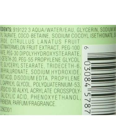Garnier Green Labs Hyalu-Melon Smoothing Milky Wash 4.4 fl oz - Hydrating Cleanser for All Skin Types - Buy Online on GoSupps.com