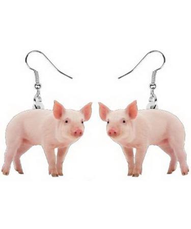 Feyley Animal Earrings for Women Cute Acrylic Duck Mouse Cat & Labrador Designs | Unique Fashion Jewelry - Buy Online on GoSupps.com