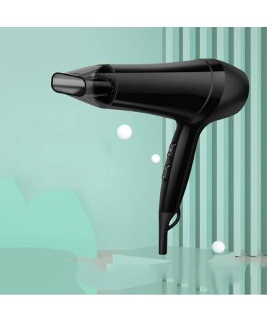 1800W Professional Hair Dryer Fast Hairdryer Salon Lightweight Hairdryer Sets for Women Blow Dryer 2 Speed 3 Heat Setting withConcentrator Nozzle Constant Temperature Hair Care for Home Small Gift - Buy Online on GoSupps.com