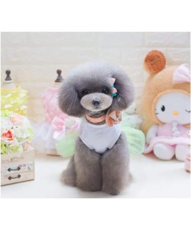 Luxury Dog Dress for Little Girls - Puppy Skirt Ballet Tutu Flower Wedding Lace - Green (M) - Buy Online on GoSupps.com