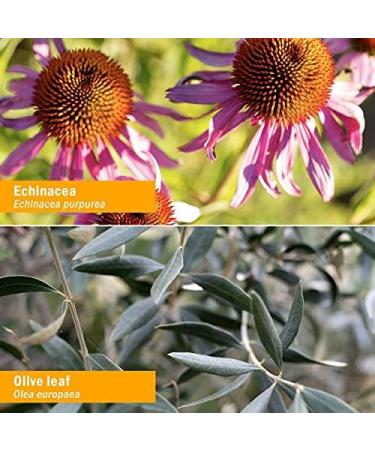 Herb Pharm Virattack Liquid Herbal Formula with Lomatium for Active Immune System Support - 4 Ounce - Buy Online on GoSupps.com